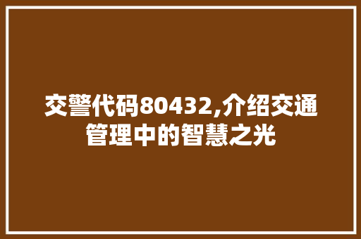 交警代码80432,介绍交通管理中的智慧之光