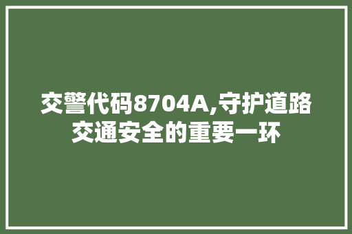 交警代码8704A,守护道路交通安全的重要一环