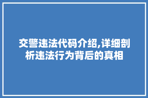 交警违法代码介绍,详细剖析违法行为背后的真相