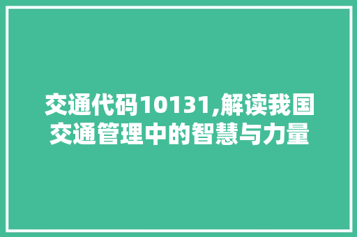 交通代码10131,解读我国交通管理中的智慧与力量