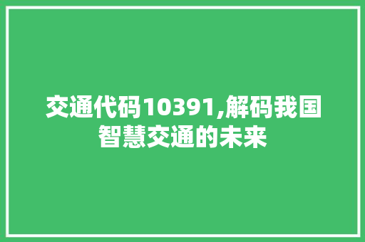 交通代码10391,解码我国智慧交通的未来