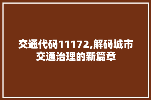 交通代码11172,解码城市交通治理的新篇章