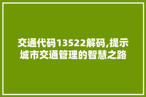 交通代码13522解码,提示城市交通管理的智慧之路