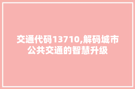 交通代码13710,解码城市公共交通的智慧升级