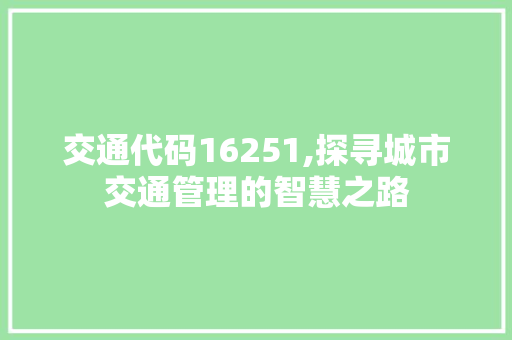 交通代码16251,探寻城市交通管理的智慧之路