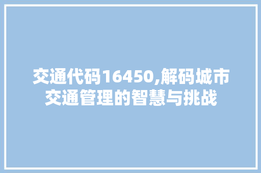 交通代码16450,解码城市交通管理的智慧与挑战