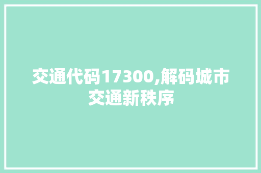 交通代码17300,解码城市交通新秩序