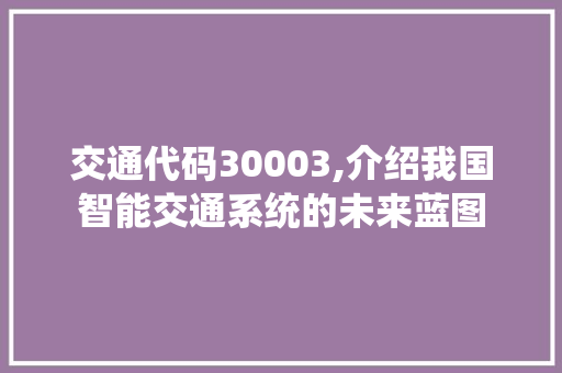 交通代码30003,介绍我国智能交通系统的未来蓝图