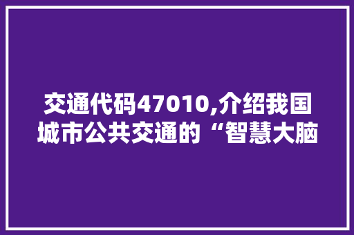 交通代码47010,介绍我国城市公共交通的“智慧大脑”