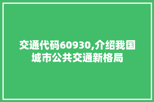 交通代码60930,介绍我国城市公共交通新格局