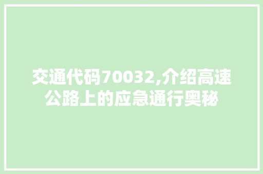 交通代码70032,介绍高速公路上的应急通行奥秘