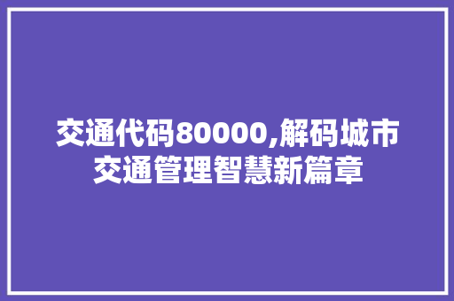 交通代码80000,解码城市交通管理智慧新篇章