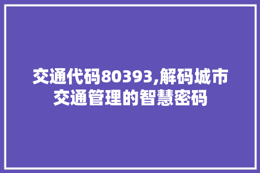 交通代码80393,解码城市交通管理的智慧密码