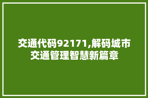 交通代码92171,解码城市交通管理智慧新篇章