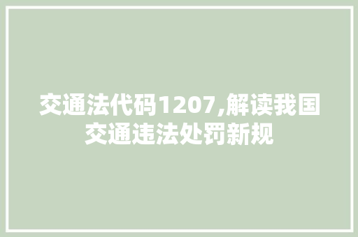 交通法代码1207,解读我国交通违法处罚新规