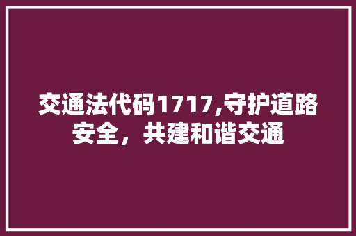 交通法代码1717,守护道路安全，共建和谐交通