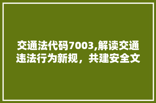 交通法代码7003,解读交通违法行为新规，共建安全文明出行环境