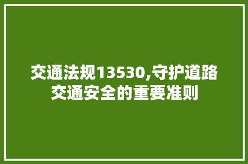 交通法规13530,守护道路交通安全的重要准则