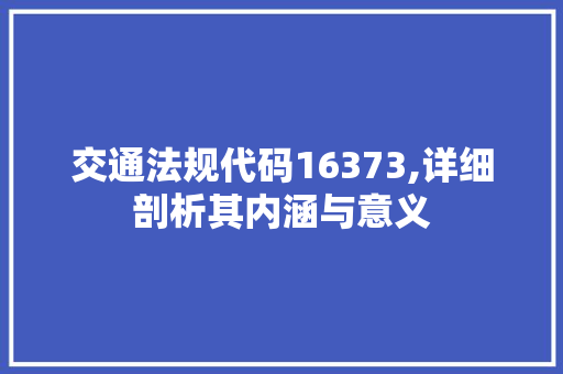 交通法规代码16373,详细剖析其内涵与意义