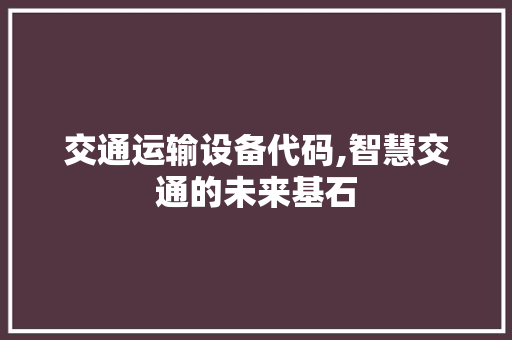 交通运输设备代码,智慧交通的未来基石