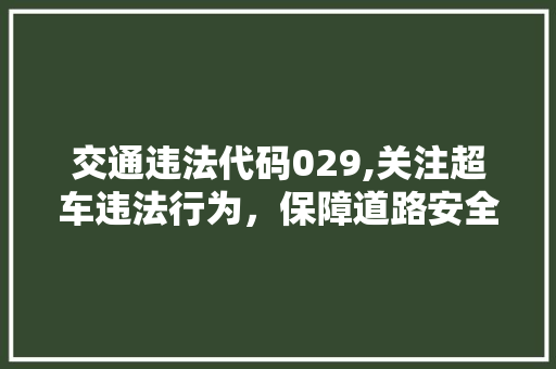 交通违法代码029,关注超车违法行为，保障道路安全