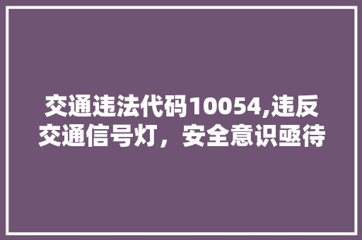 交通违法代码10054,违反交通信号灯，安全意识亟待提升