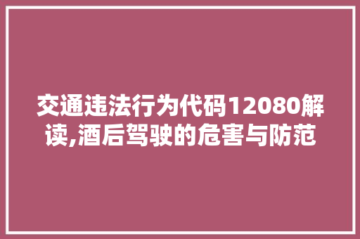 交通违法行为代码12080解读,酒后驾驶的危害与防范