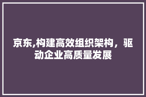 京东,构建高效组织架构，驱动企业高质量发展