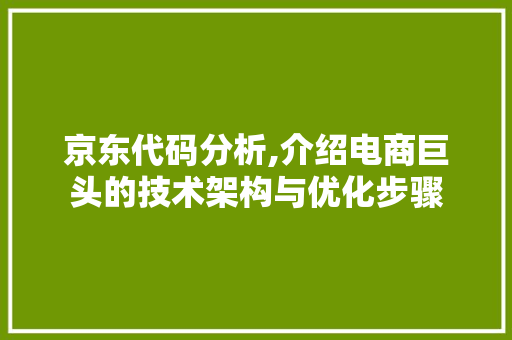 京东代码分析,介绍电商巨头的技术架构与优化步骤