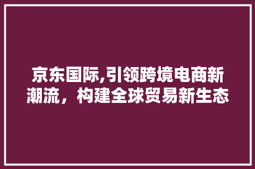 京东国际,引领跨境电商新潮流，构建全球贸易新生态