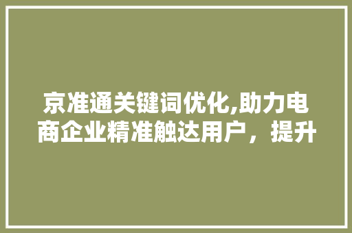 京准通关键词优化,助力电商企业精准触达用户，提升转化率