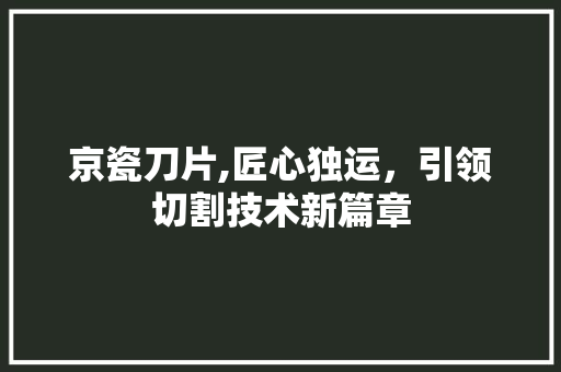 京瓷刀片,匠心独运，引领切割技术新篇章