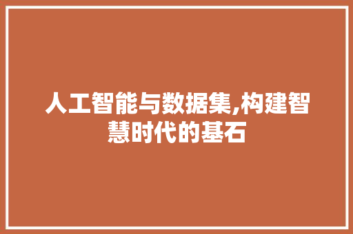 人工智能与数据集,构建智慧时代的基石