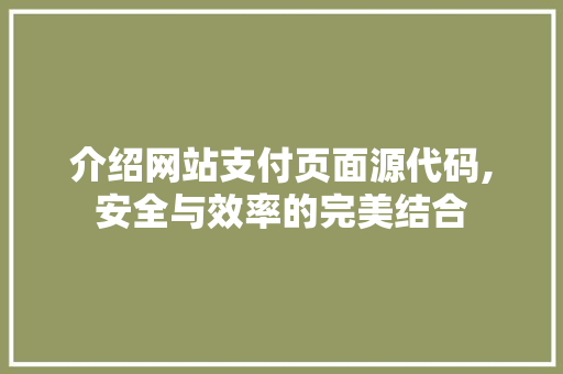 介绍网站支付页面源代码,安全与效率的完美结合