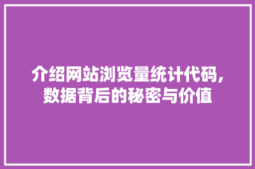 介绍网站浏览量统计代码,数据背后的秘密与价值