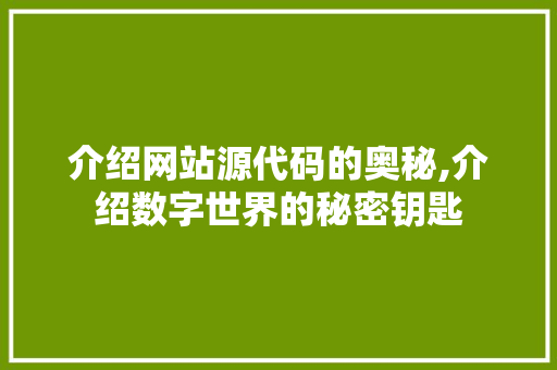 介绍网站源代码的奥秘,介绍数字世界的秘密钥匙