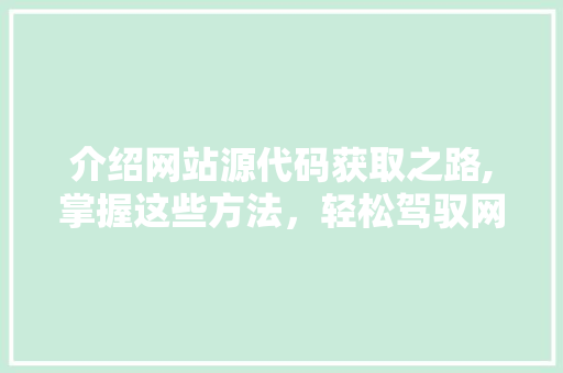 介绍网站源代码获取之路,掌握这些方法，轻松驾驭网络信息