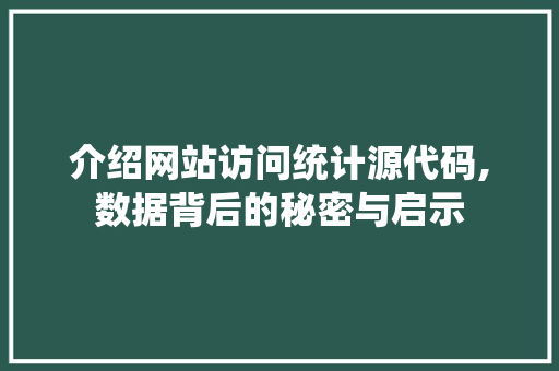 介绍网站访问统计源代码,数据背后的秘密与启示