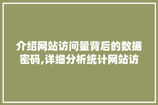 介绍网站访问量背后的数据密码,详细分析统计网站访问量代码的魅力