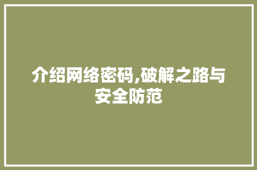 介绍网络密码,破解之路与安全防范