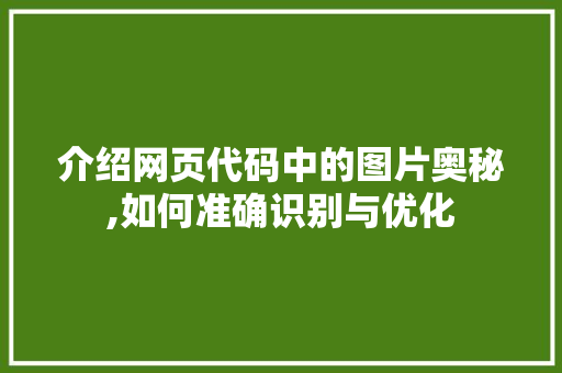 介绍网页代码中的图片奥秘,如何准确识别与优化