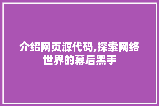 介绍网页源代码,探索网络世界的幕后黑手