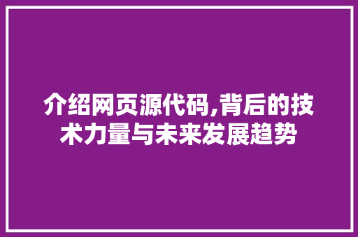 介绍网页源代码,背后的技术力量与未来发展趋势