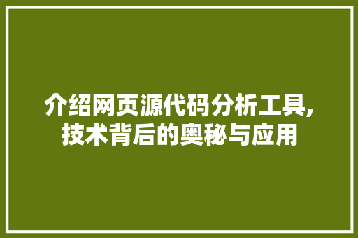 介绍网页源代码分析工具,技术背后的奥秘与应用