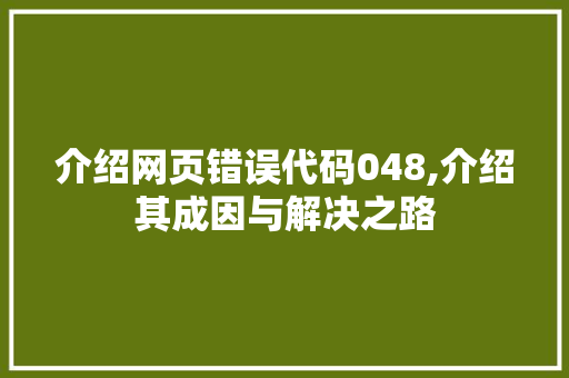 介绍网页错误代码048,介绍其成因与解决之路