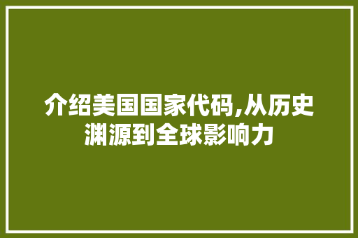 介绍美国国家代码,从历史渊源到全球影响力