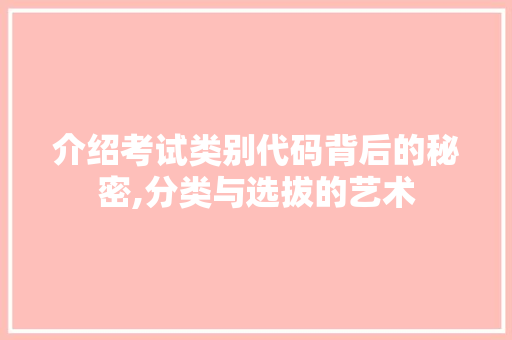 介绍考试类别代码背后的秘密,分类与选拔的艺术