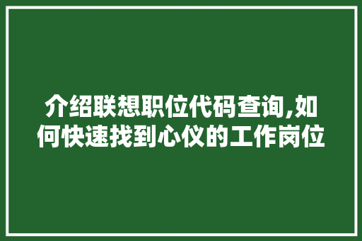 介绍联想职位代码查询,如何快速找到心仪的工作岗位