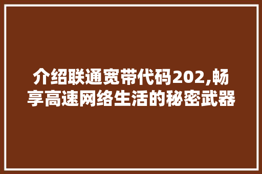 介绍联通宽带代码202,畅享高速网络生活的秘密武器