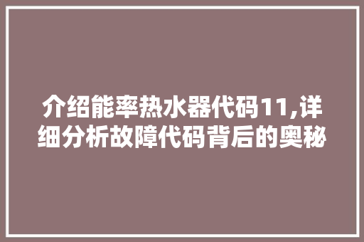 介绍能率热水器代码11,详细分析故障代码背后的奥秘